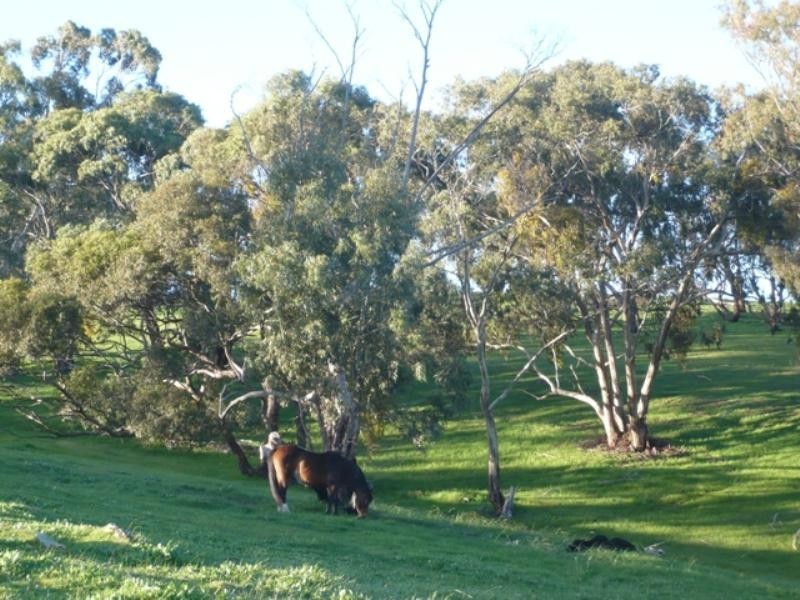 Lot 621 Emu Rock Road, Armagh SA 5453