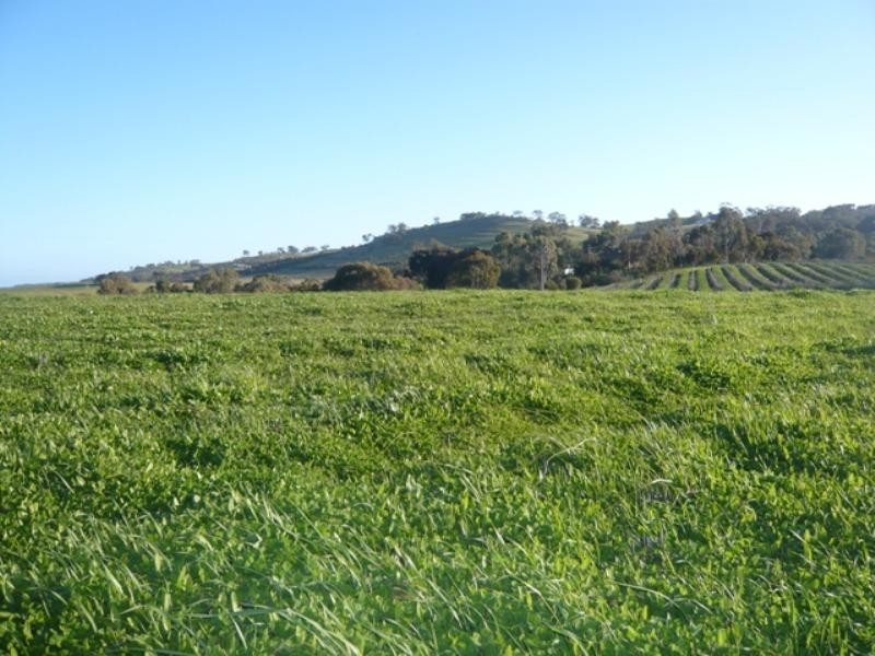 Lot 621 Emu Rock Road, Armagh SA 5453