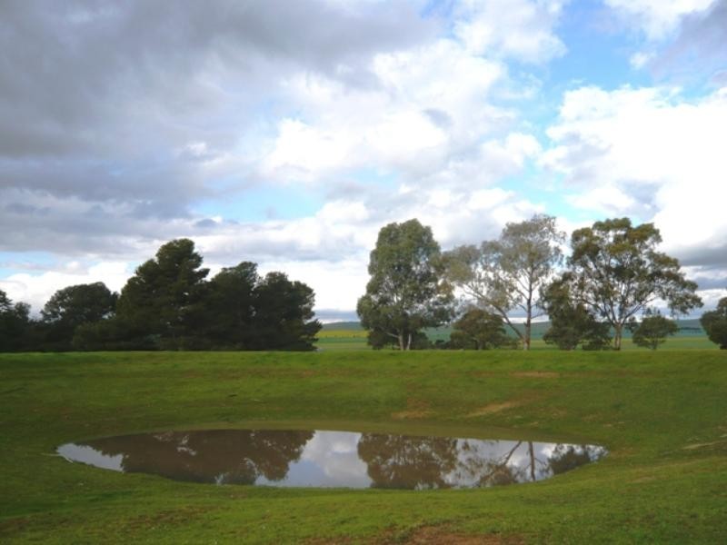 “Barton Hill Homestead”, Black Springs SA 5413