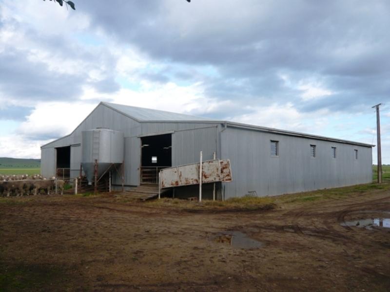 “Barton Hill Homestead”, Black Springs SA 5413