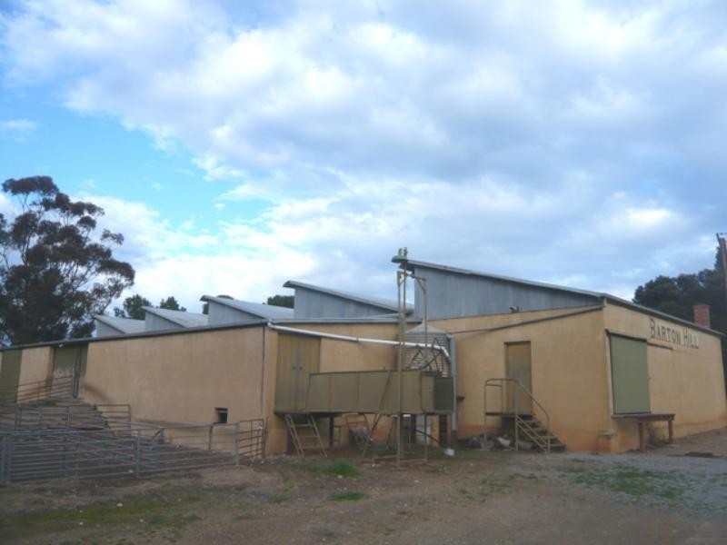 “Barton Hill Homestead”, Black Springs SA 5413
