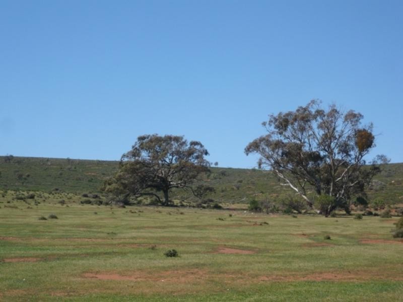 Mt Bryan East, Hallett SA 5419