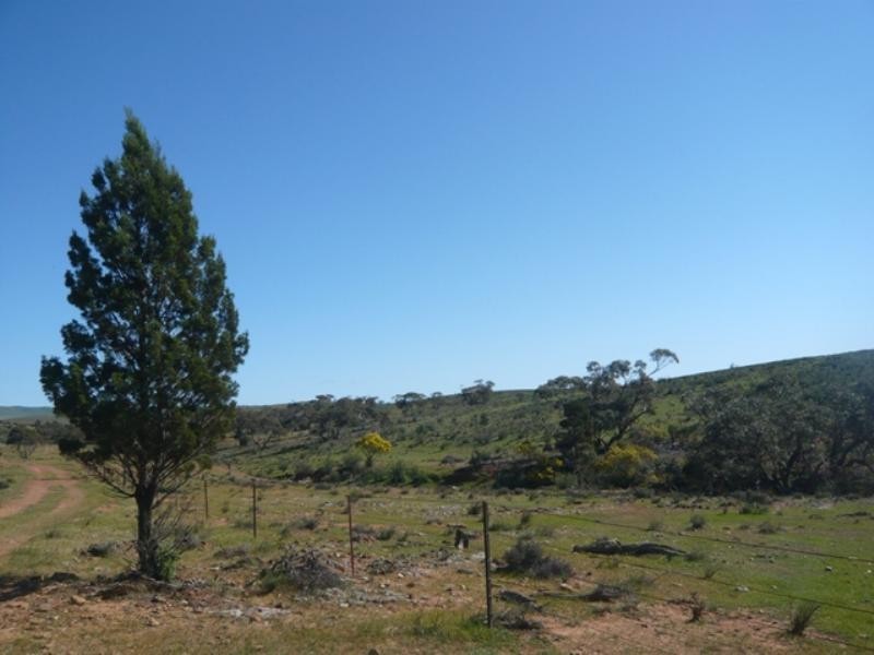 Mt Bryan East, Hallett SA 5419