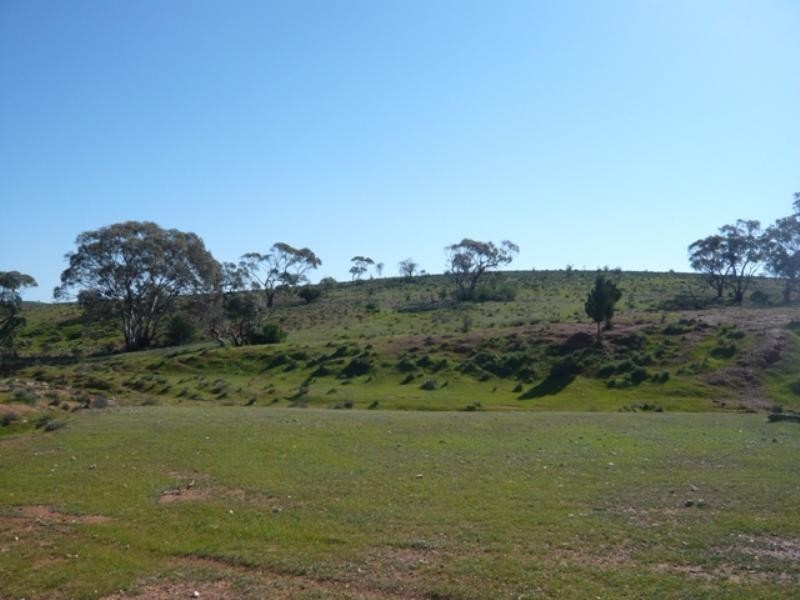 Mt Bryan East, Hallett SA 5419