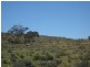 Mt Bryan East, Hallett SA 5419