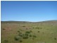 Mt Bryan East, Hallett SA 5419