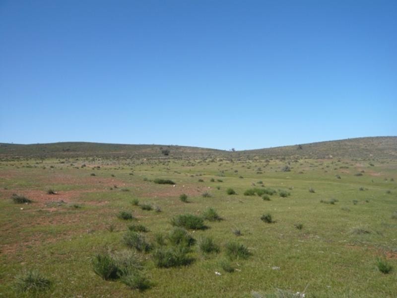 Mt Bryan East, Hallett SA 5419