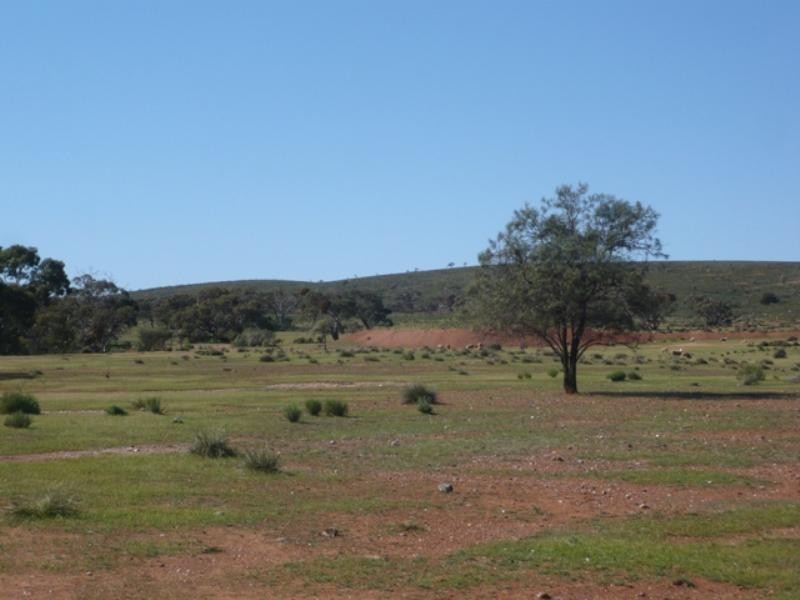 Mt Bryan East, Hallett SA 5419