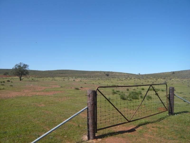 Mt Bryan East, Hallett SA 5419