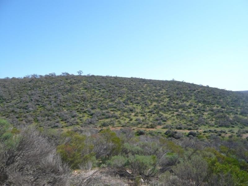 Mt Bryan East, Hallett SA 5419