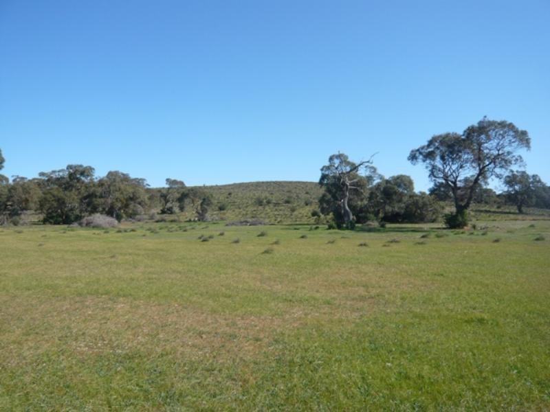 Mt Bryan East, Hallett SA 5419