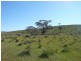 Mt Bryan East, Hallett SA 5419