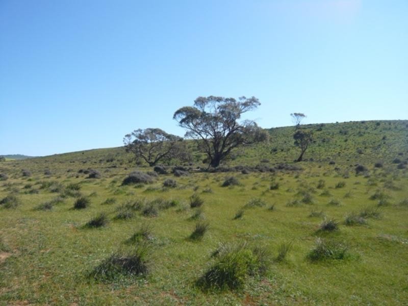 Mt Bryan East, Hallett SA 5419