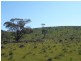 Mt Bryan East, Hallett SA 5419