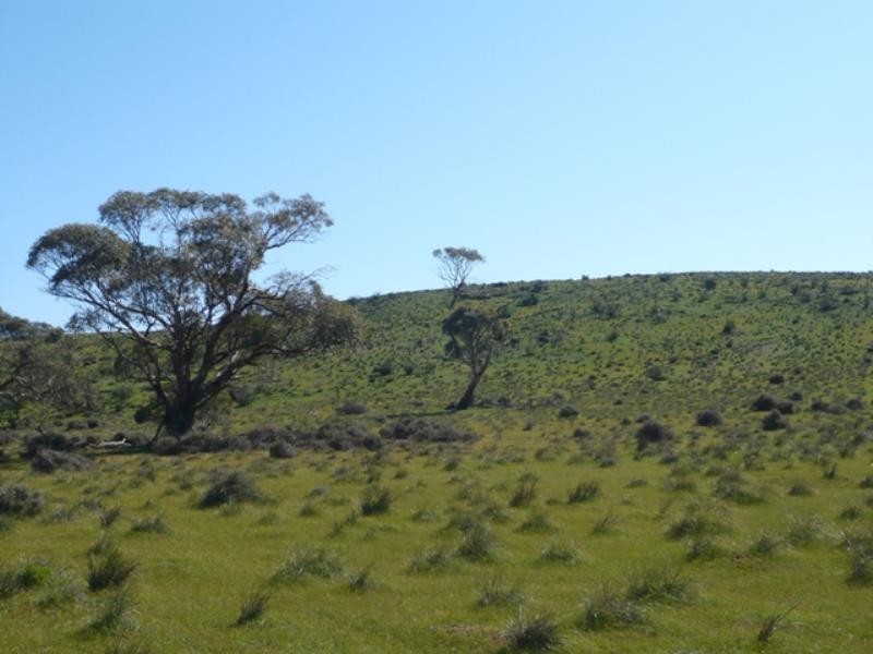 Mt Bryan East, Hallett SA 5419