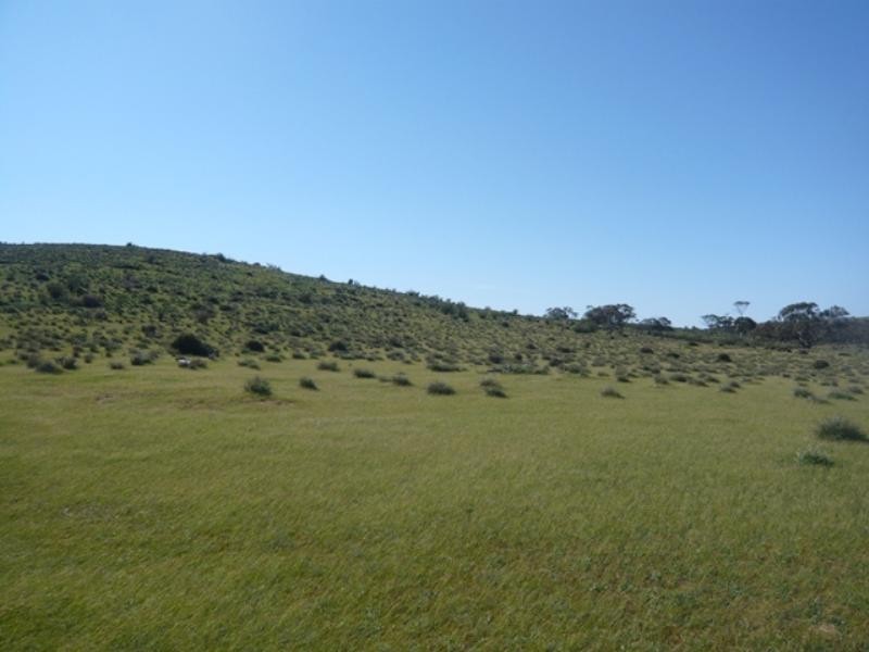 Mt Bryan East, Hallett SA 5419