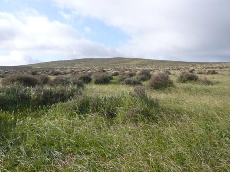 “Hugh’s” Stock Route Road, Hallett SA 5419