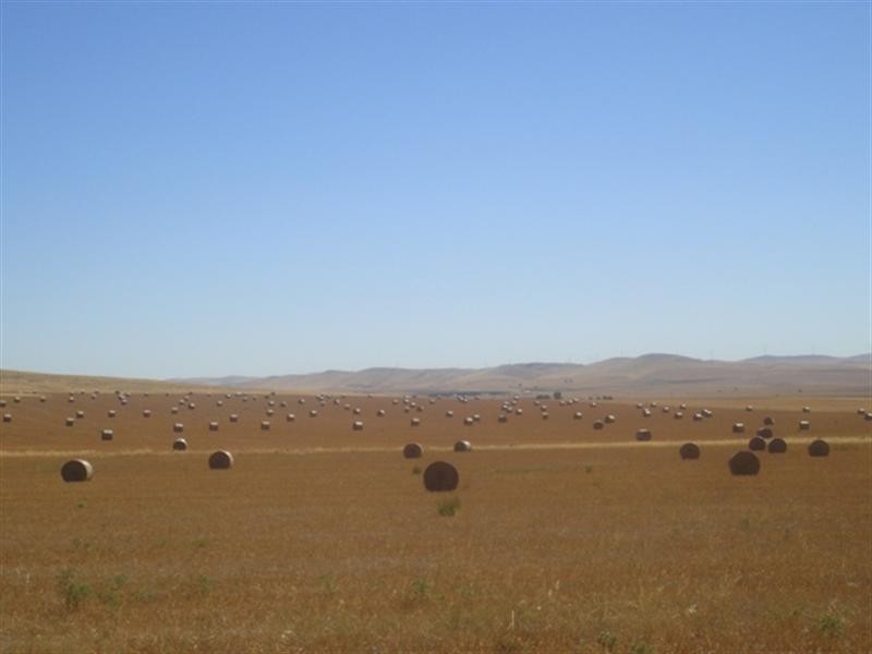 “Hugh’s” Stock Route Road, Hallett SA 5419