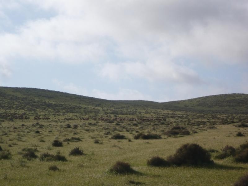 “Hugh’s” Stock Route Road, Hallett SA 5419