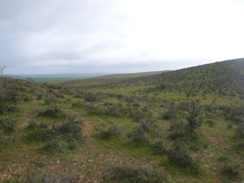 “Hugh’s” Stock Route Road, Hallett SA 5419