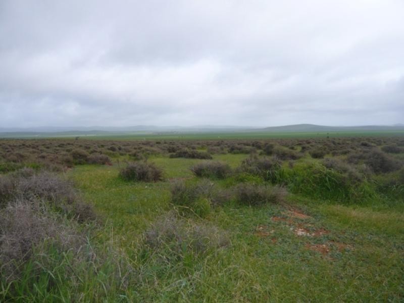 “Hugh’s” Stock Route Road, Hallett SA 5419