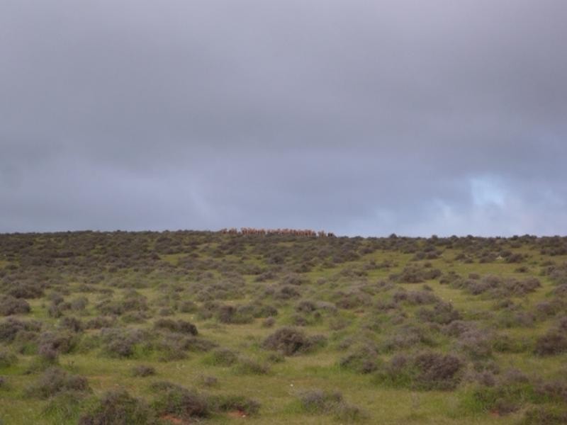 “Hugh’s” Stock Route Road, Hallett SA 5419