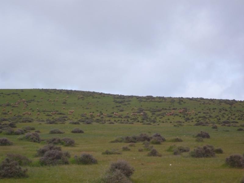 “Hugh’s” Stock Route Road, Hallett SA 5419
