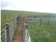 “Hugh’s” Stock Route Road, Hallett SA 5419