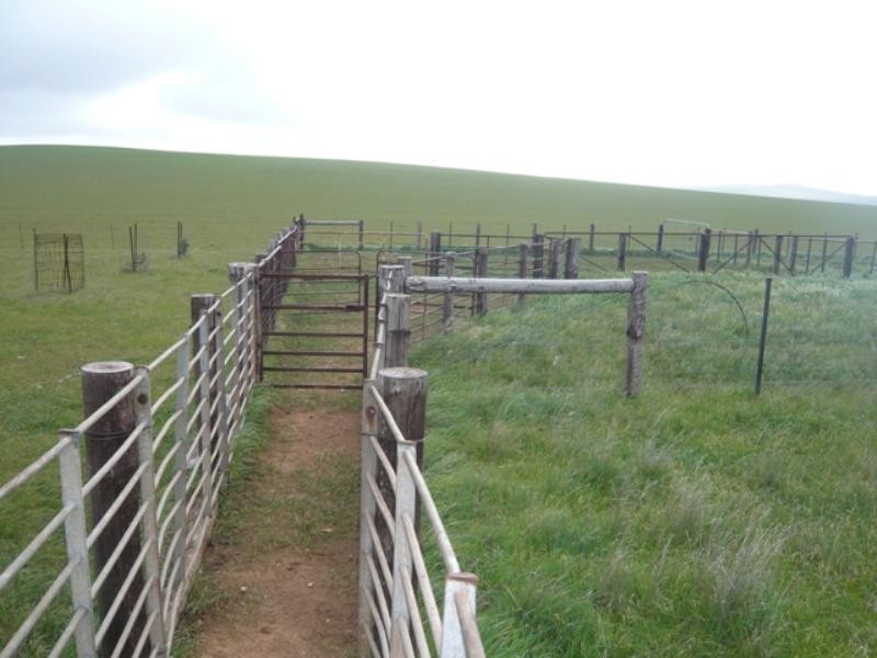 “Hugh’s” Stock Route Road, Hallett SA 5419