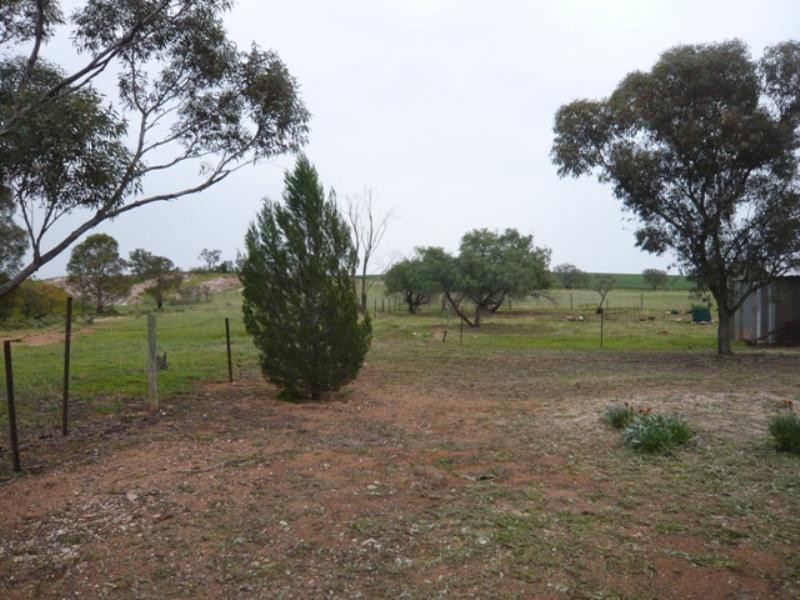 Sec 349 Calverts Road, Koolunga SA 5464