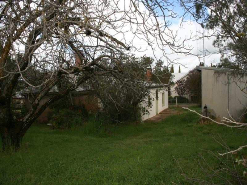 11 Wright Street, Clare SA 5453
