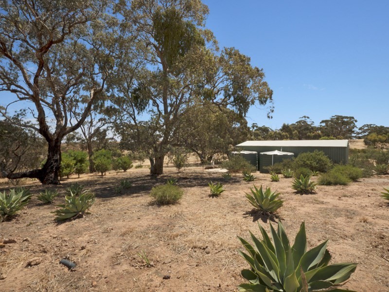 280 Basham Road, Clare SA 5453