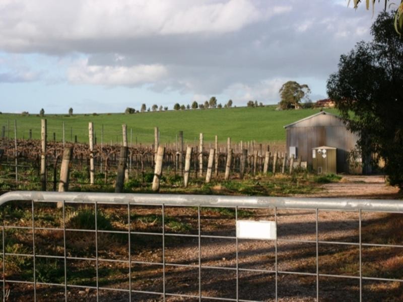 Lt 10 Kingston Terrace, Auburn SA 5451