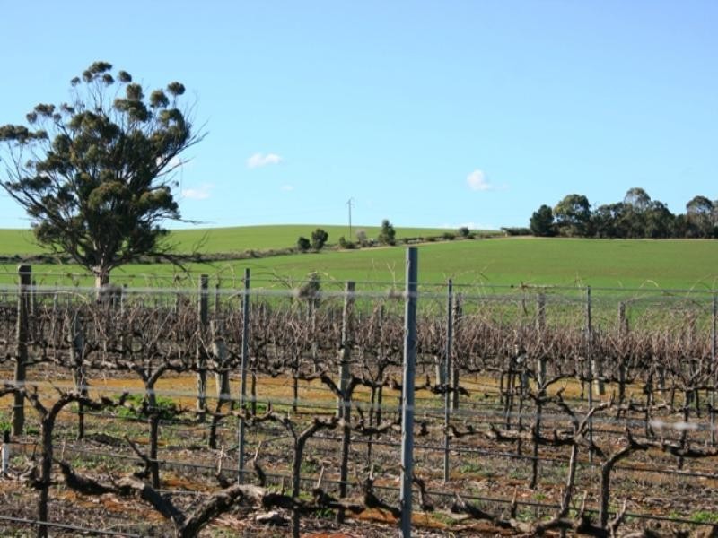 Lt 10 Kingston Terrace, Auburn SA 5451