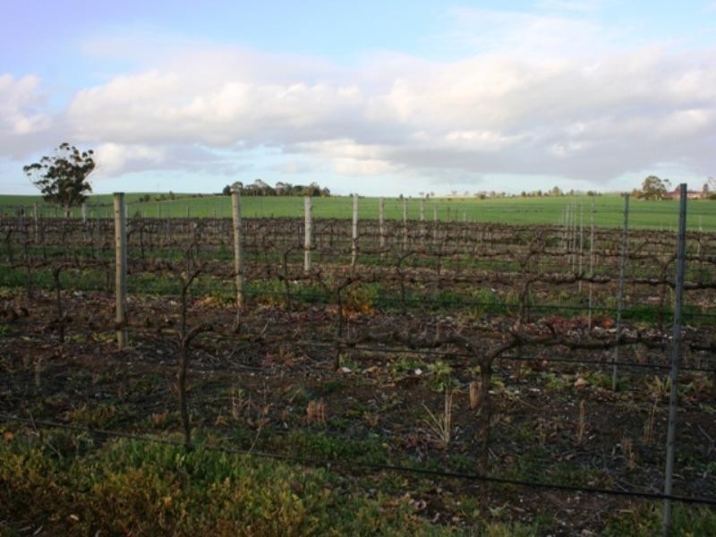 Lt 10 Kingston Terrace, Auburn SA 5451