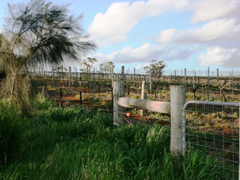 Lot 11 Kingston Terrace, Auburn SA 5451