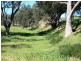 LOT 243 WHITE PARK Road, Wirrabara SA 5481