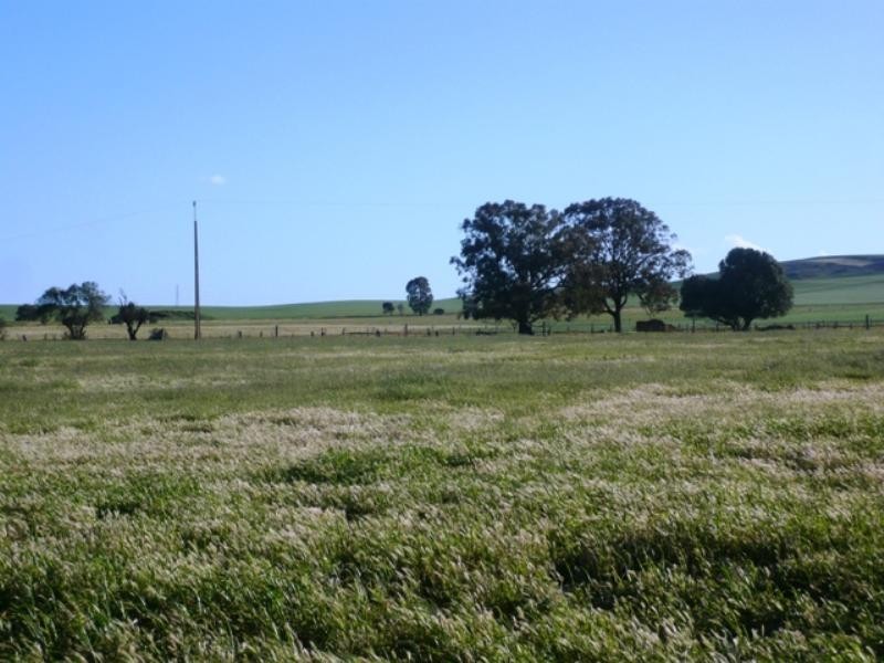 Lts 95 and 96 Copperhouse Road, Burra SA 5417