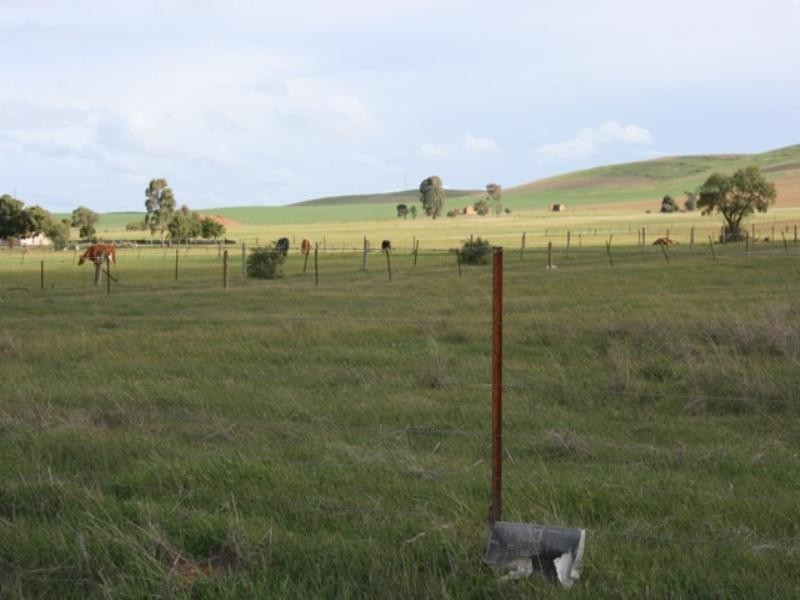 Lts 109and110 Copperhouse Road, Burra SA 5417