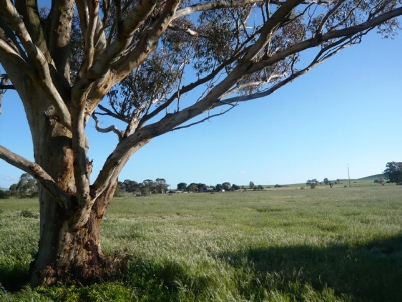 Lts 109and110 Copperhouse Road, Burra SA 5417