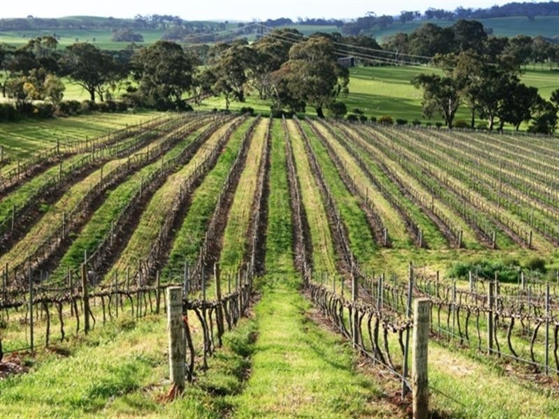 Lot 10 Basham Road, Clare SA 5453