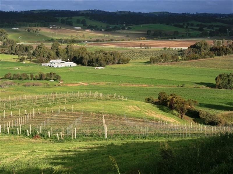 Lot 10 Basham Road, Clare SA 5453