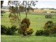 Lot 10 Basham Road, Clare SA 5453