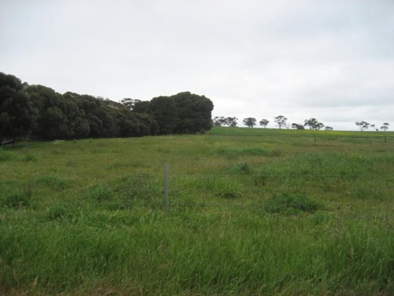 Lot 91 Globe Street, Auburn SA 5451