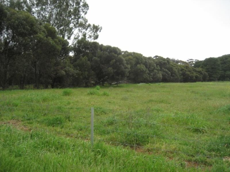Lot 91 Globe Street, Auburn SA 5451