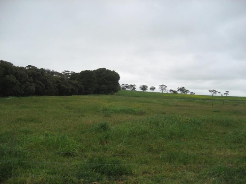 Lot 91 Globe Street, Auburn SA 5451