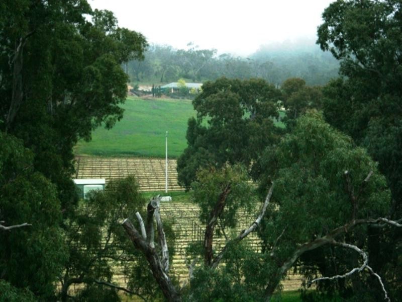 Lot 22 Skilly Road, Watervale SA 5452