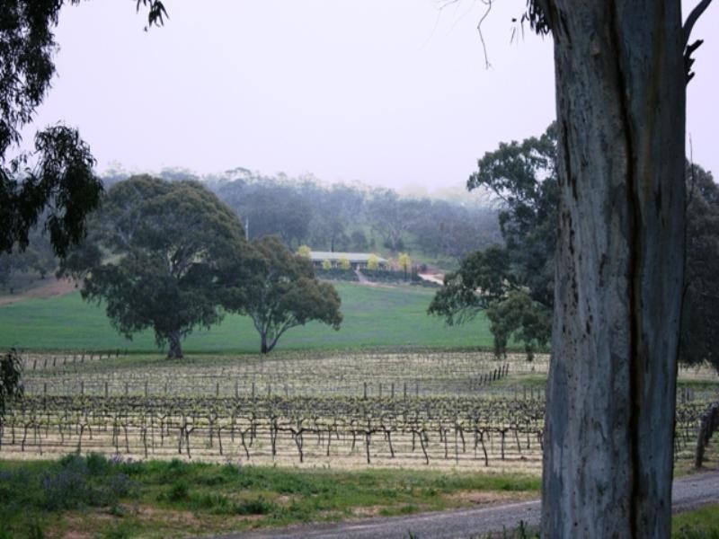 Lot 22 Skilly Road, Watervale SA 5452