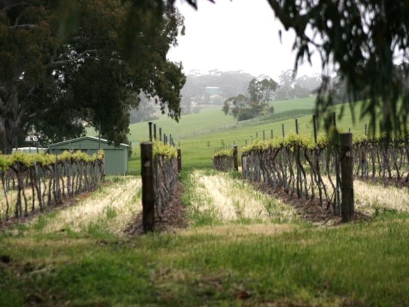 Lot 22 Skilly Road, Watervale SA 5452