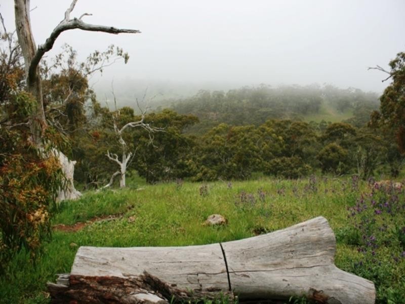 Lot 22 Skilly Road, Watervale SA 5452